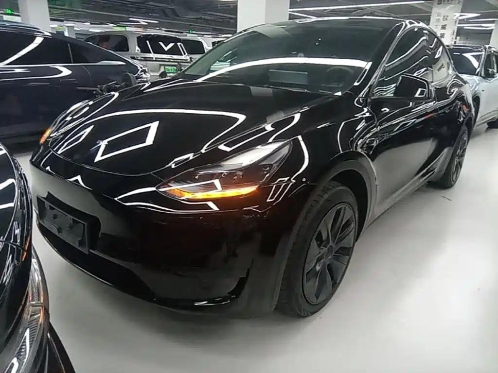 Tesla Model Y — миниатюра 2