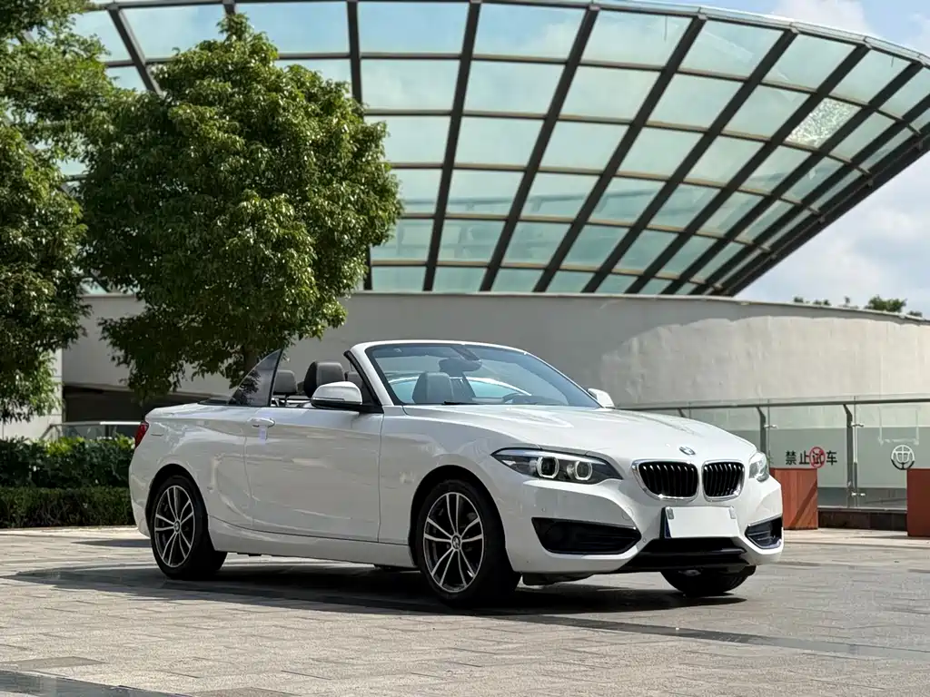 BMW 2 Series 2 2018 220i Sport