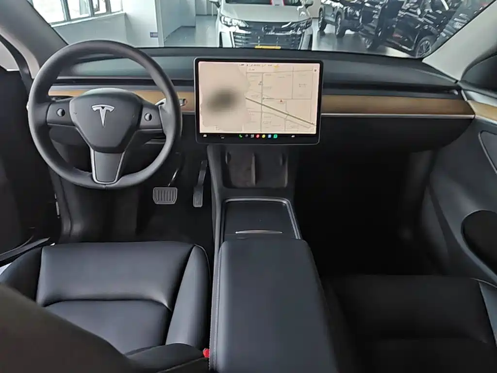 Tesla Model Y — миниатюра 10