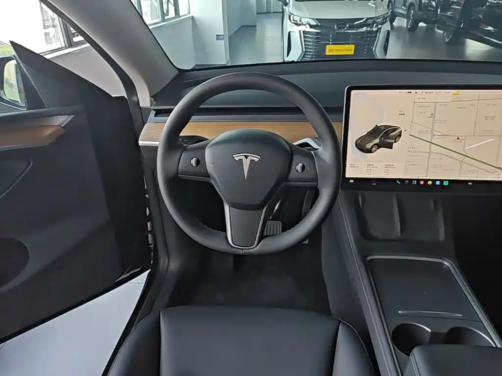 Tesla Model Y — миниатюра 11