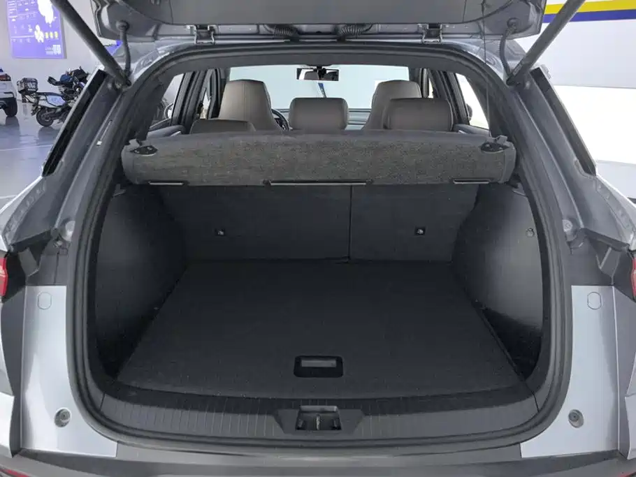 BYD Pro New Energy — миниатюра 4