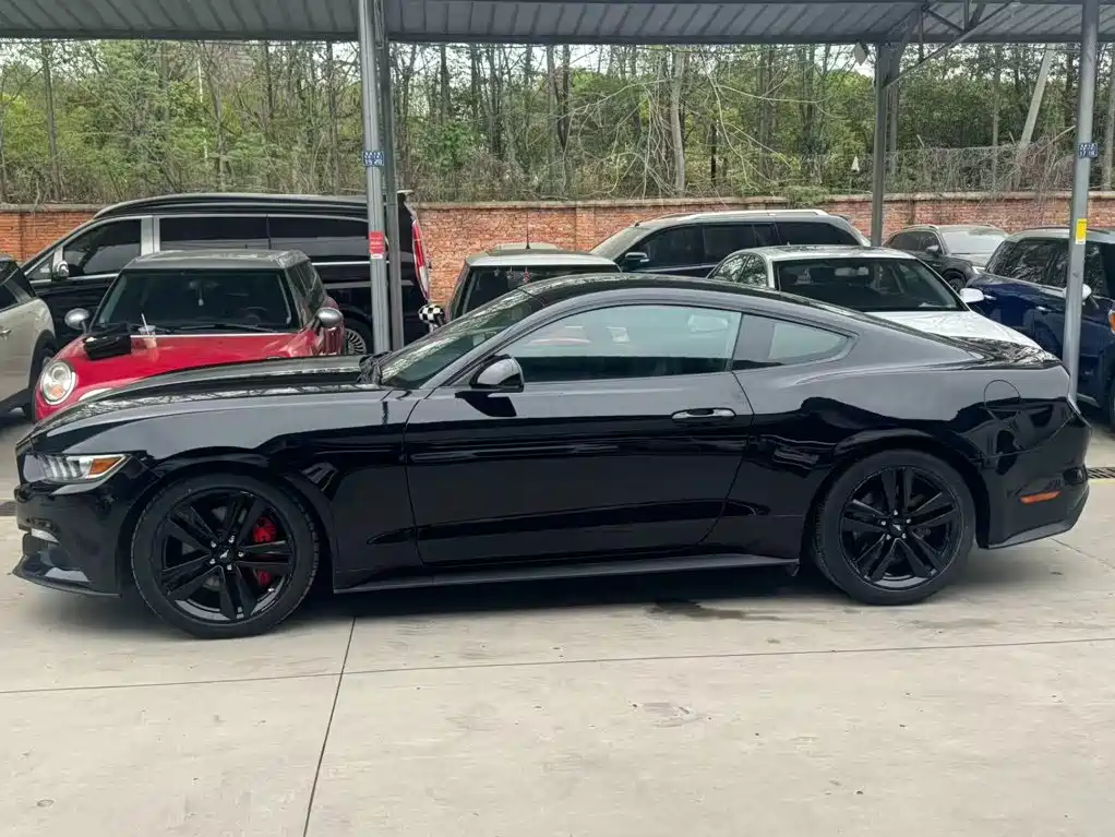Ford Mustang — миниатюра 3