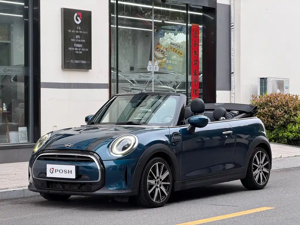 Mini Mini 2021