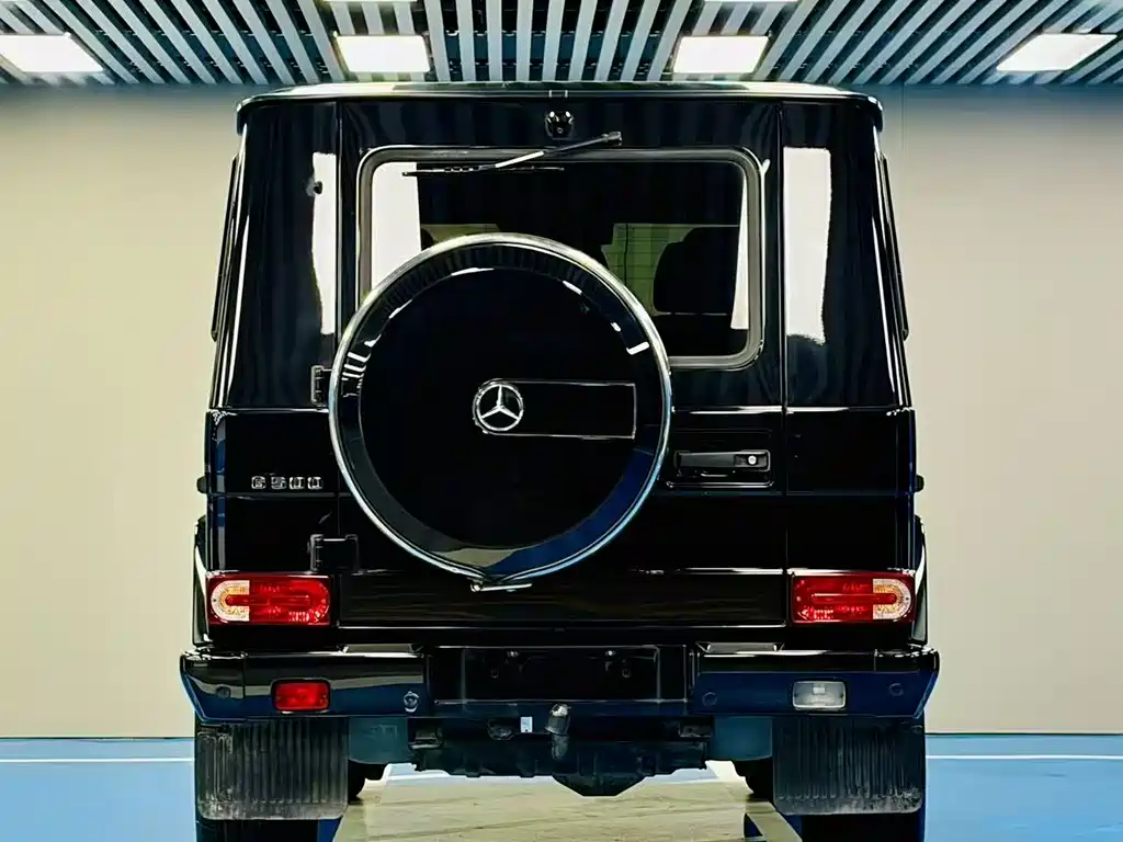 Mercedes-Benz G-Class G 2010 G 500