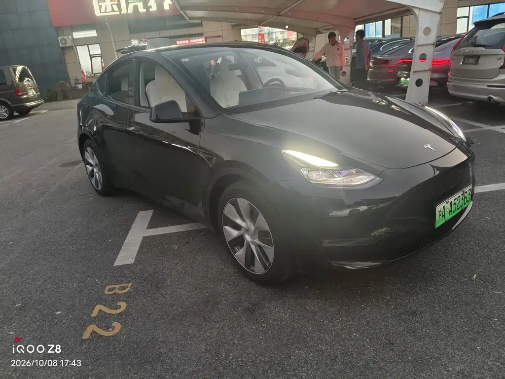 Tesla Model Y — миниатюра 3