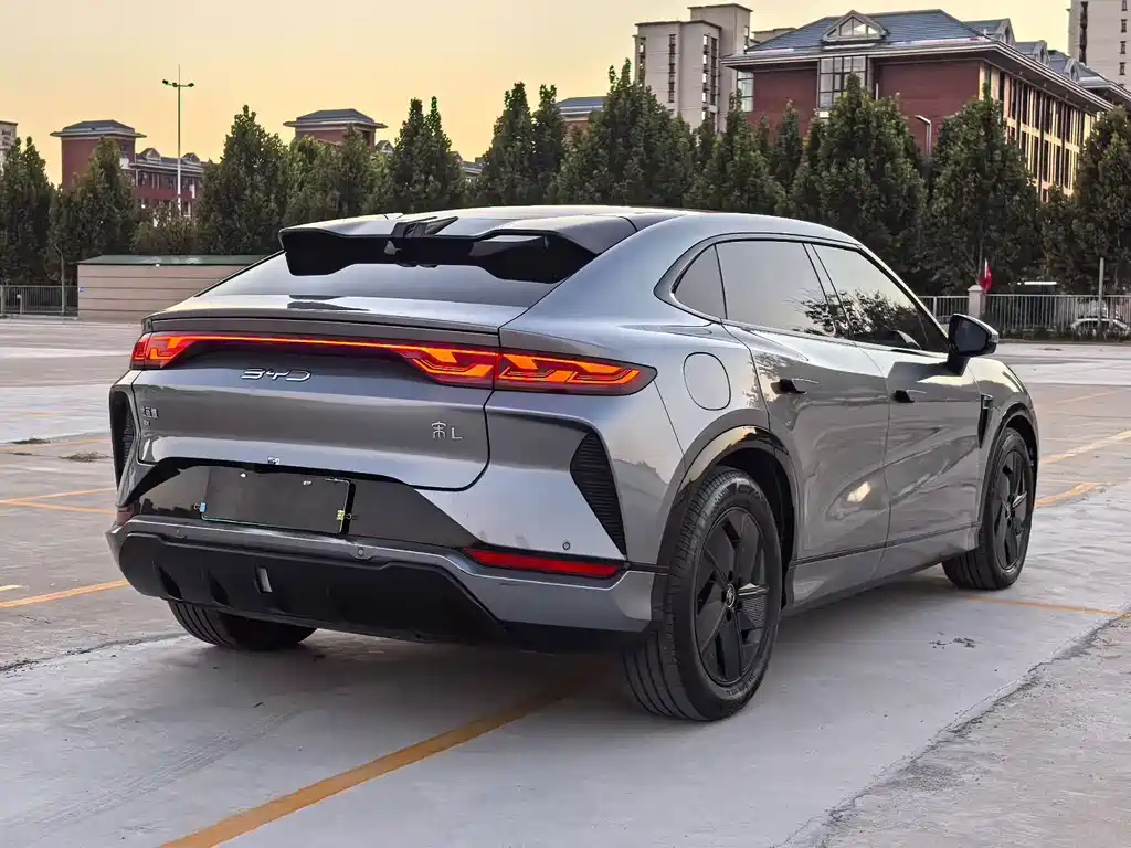 BYD L EV — миниатюра 9