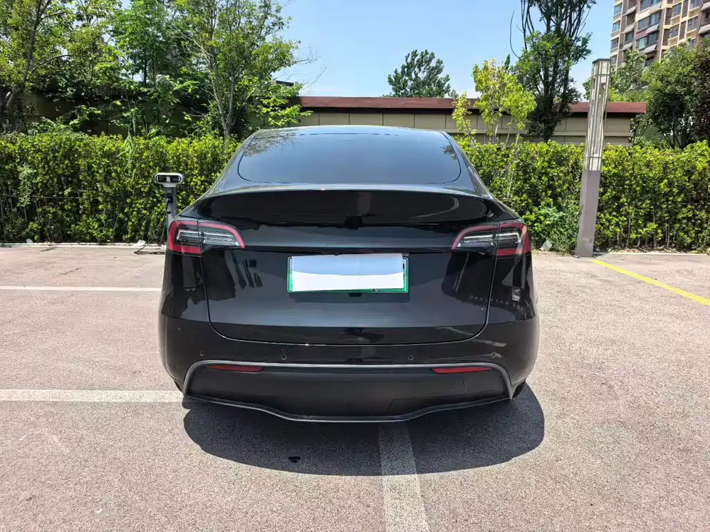 Tesla Model Y — миниатюра 4