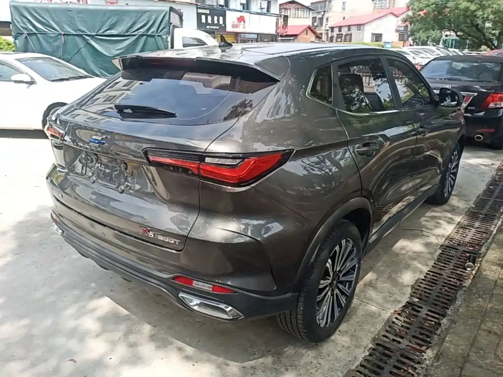 Oshan Oushang X5 — миниатюра 7