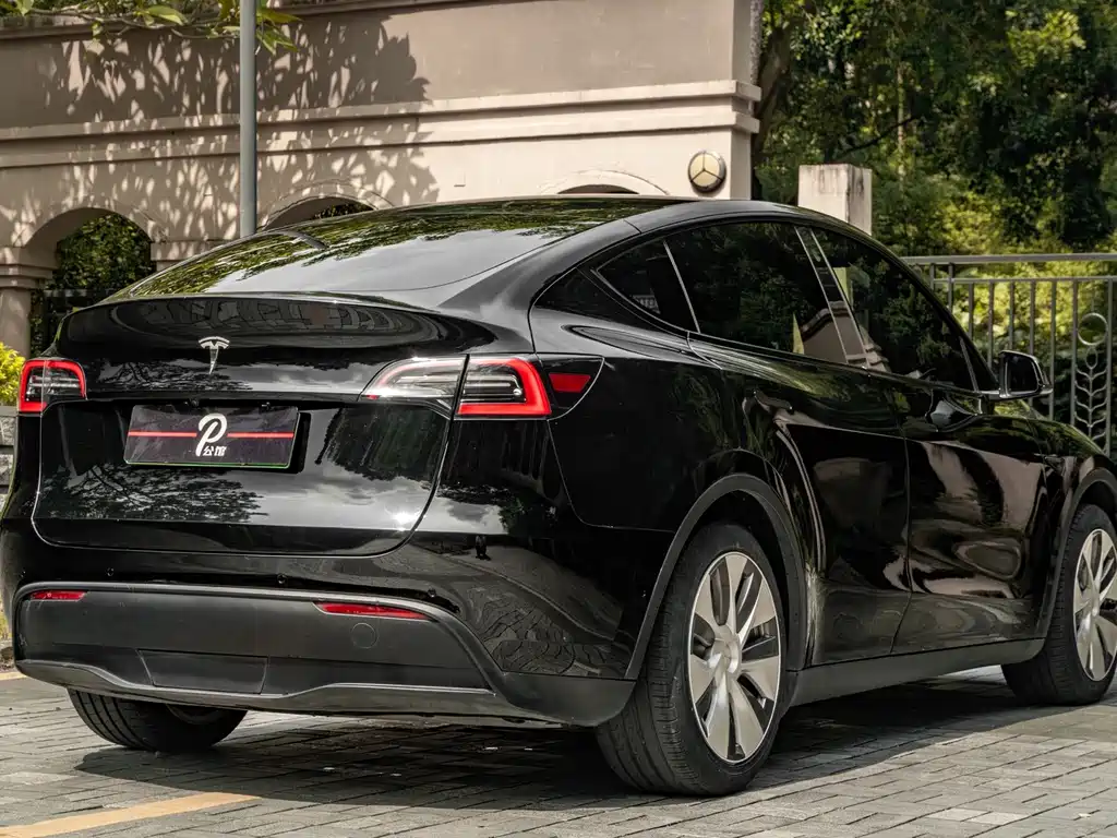 Tesla Model Y — миниатюра 6