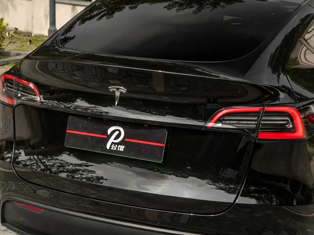 Tesla Model Y — миниатюра 9