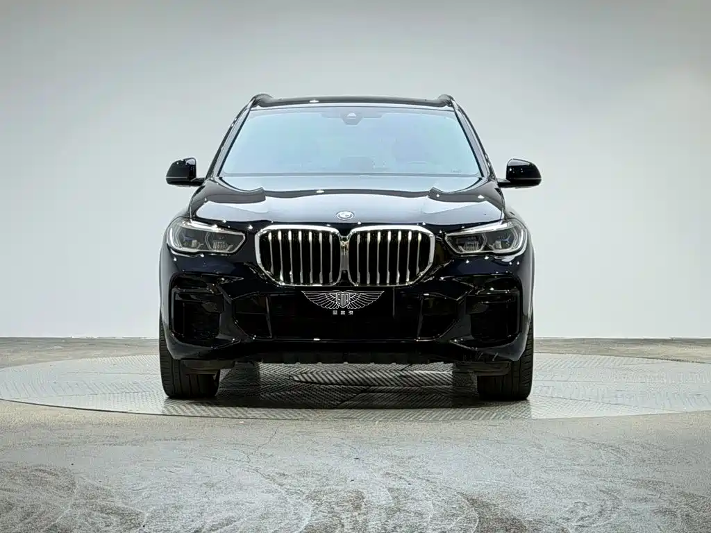 BMW X5 — миниатюра 3