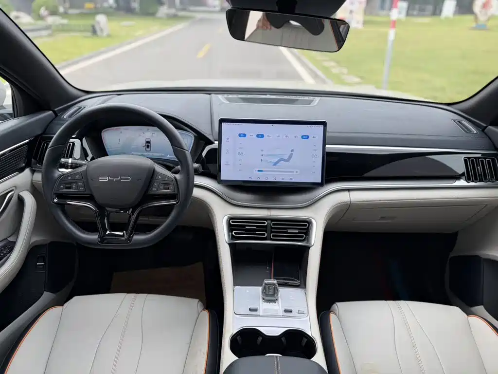 BYD PLUS New Energy — миниатюра 8