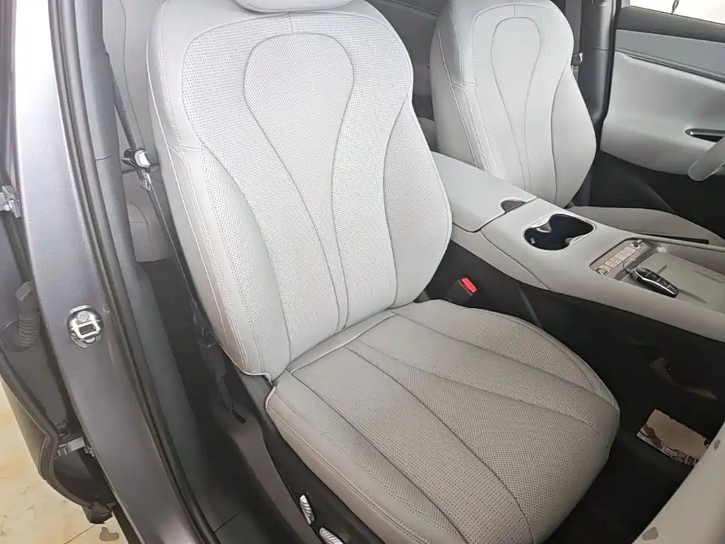 BYD Sealion 06 — миниатюра 25