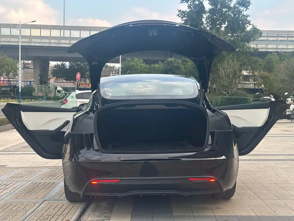 Tesla Model 3 — миниатюра 24