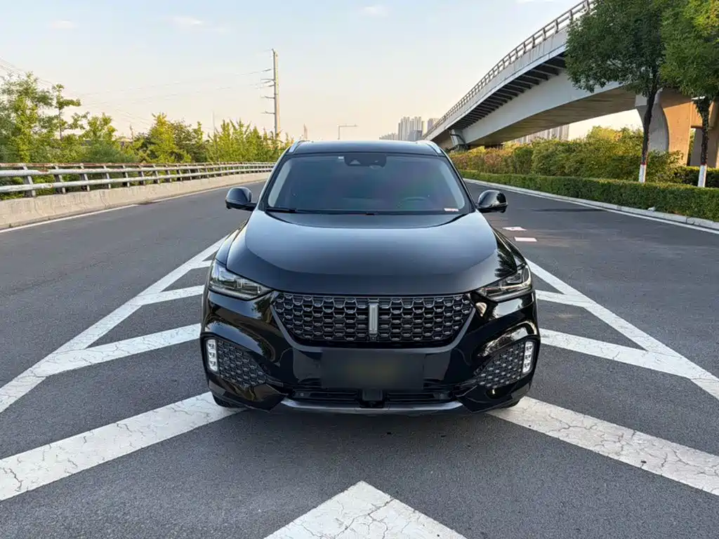 Wey Wey VV6 — миниатюра 3