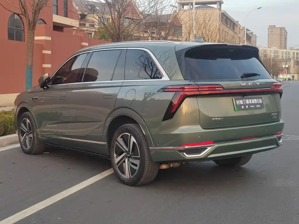 WEI PAI WEI BRAND BLUE MOUNTAIN