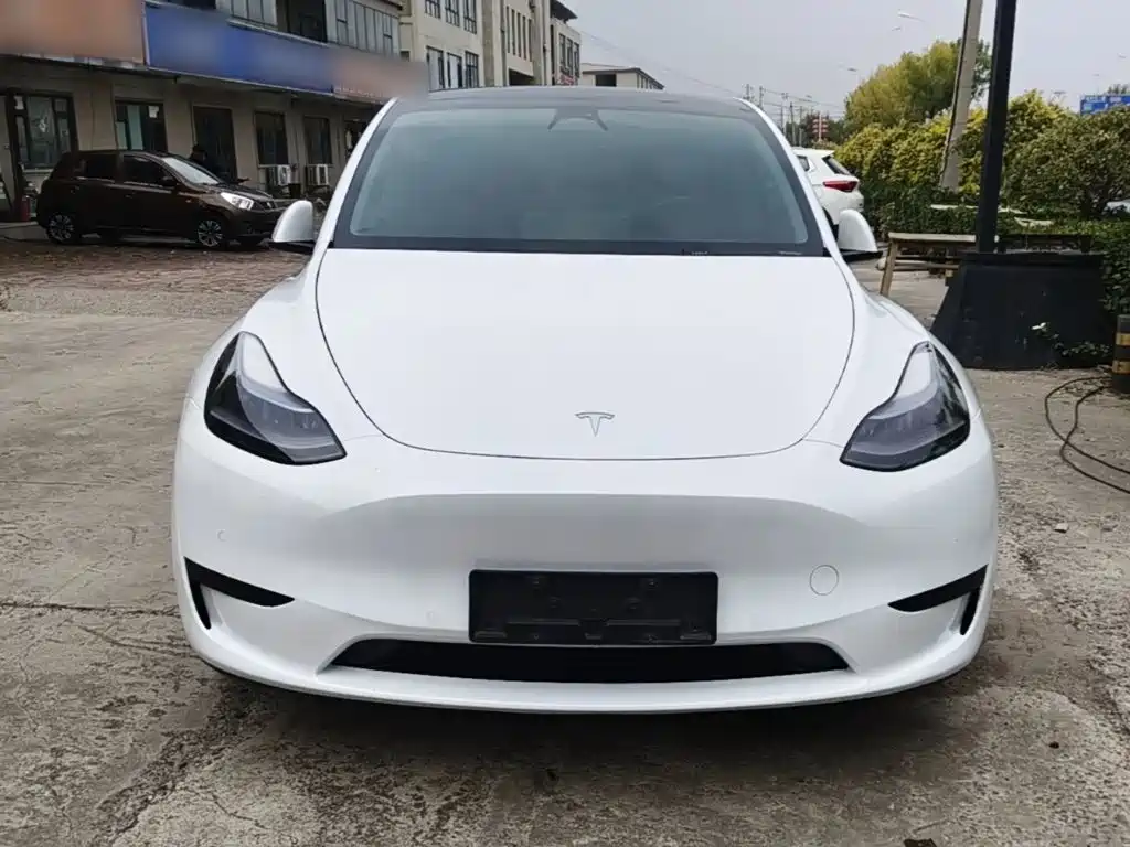 Tesla Model Y — миниатюра 3