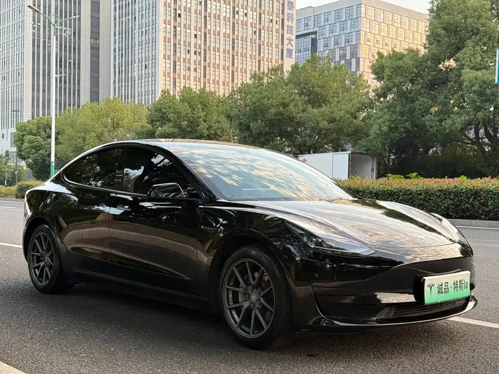 Tesla Model 3 — миниатюра 7