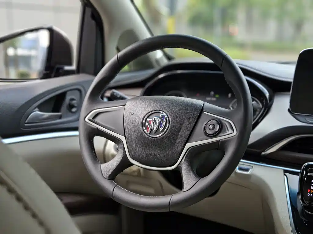 Buick GL8 — миниатюра 21