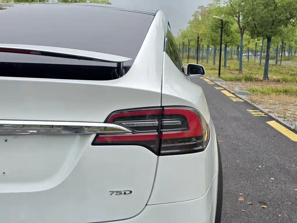 Tesla Model X — миниатюра 27