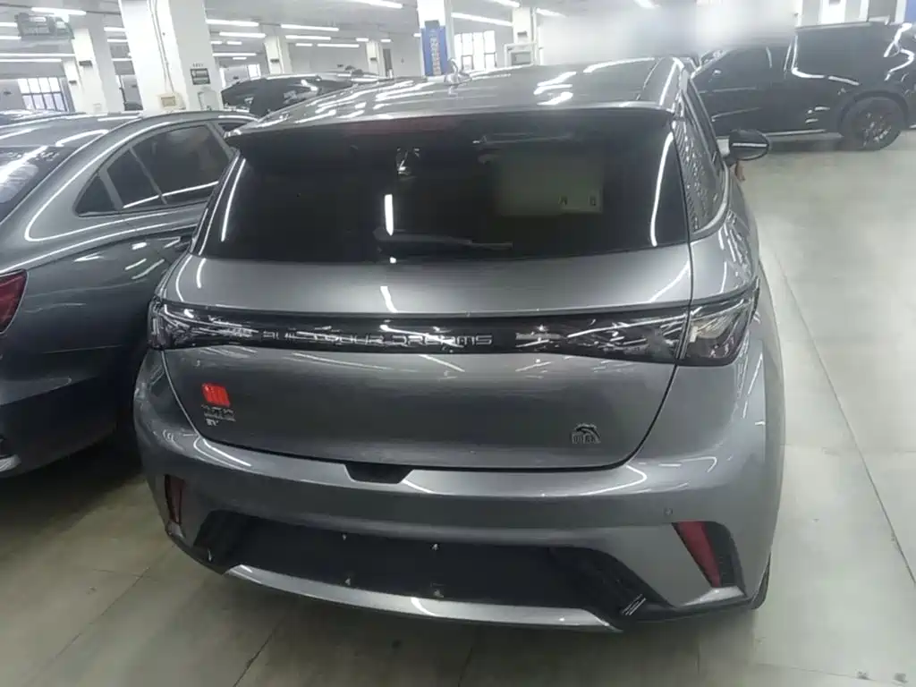 BYD Dolphin — миниатюра 6