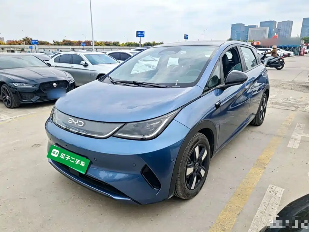 BYD Dolphin — миниатюра 2
