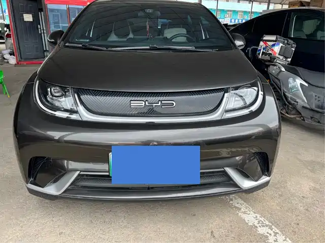 2022 BYD Dolphin