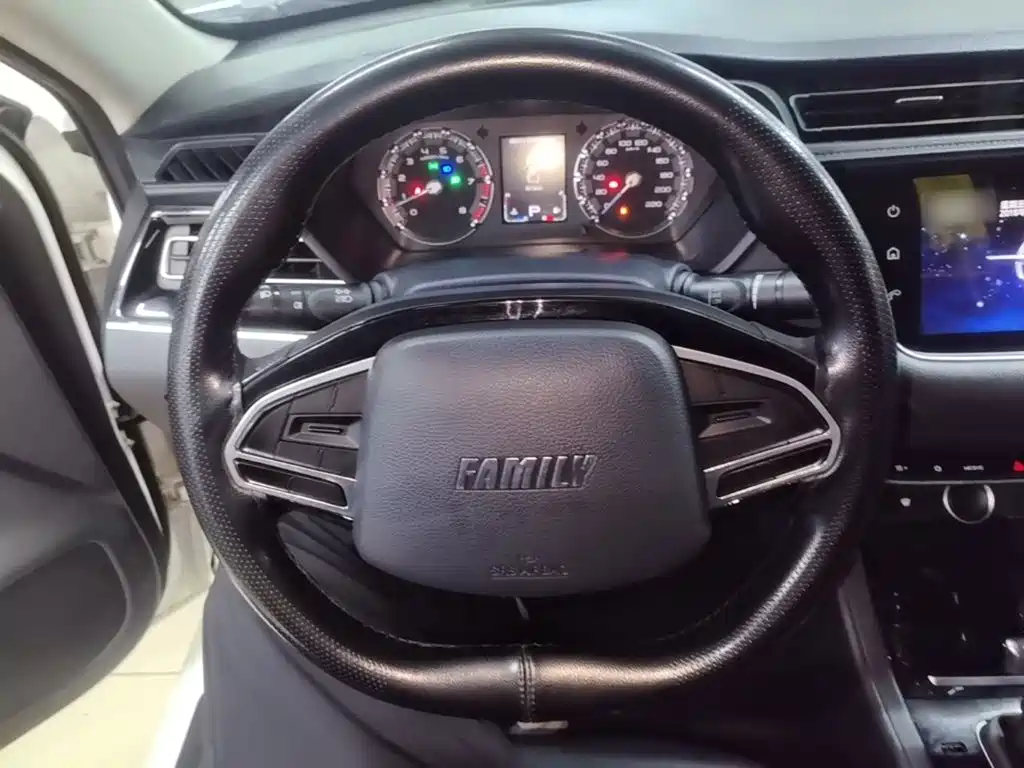 Haima Familia F5 — миниатюра 11