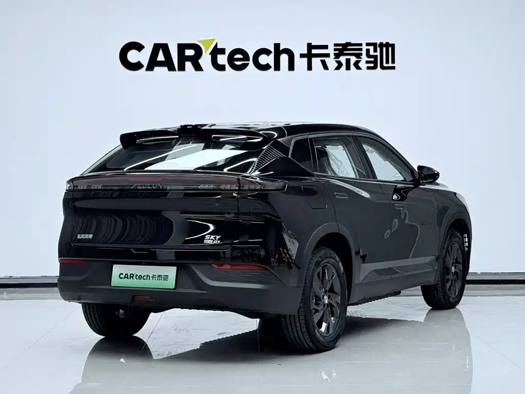 Dongfeng Sky EV01 2025 530km AIR
