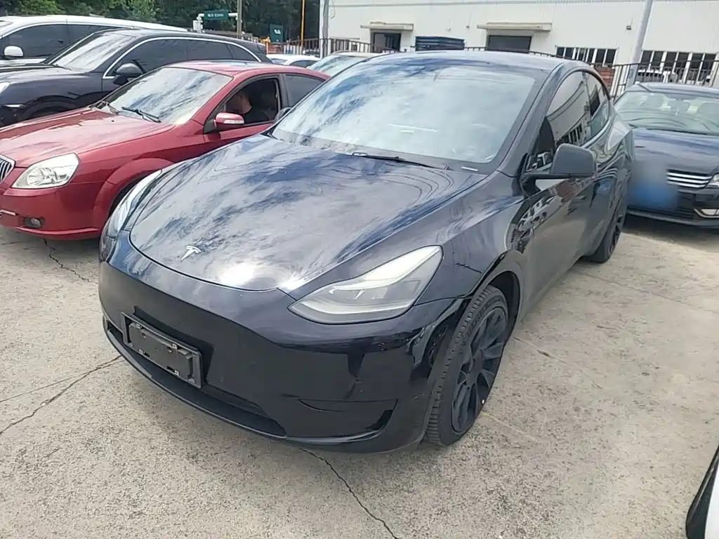 Tesla Model Y — миниатюра 2