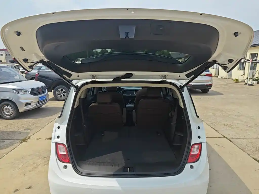 Buick GL6 — миниатюра 19