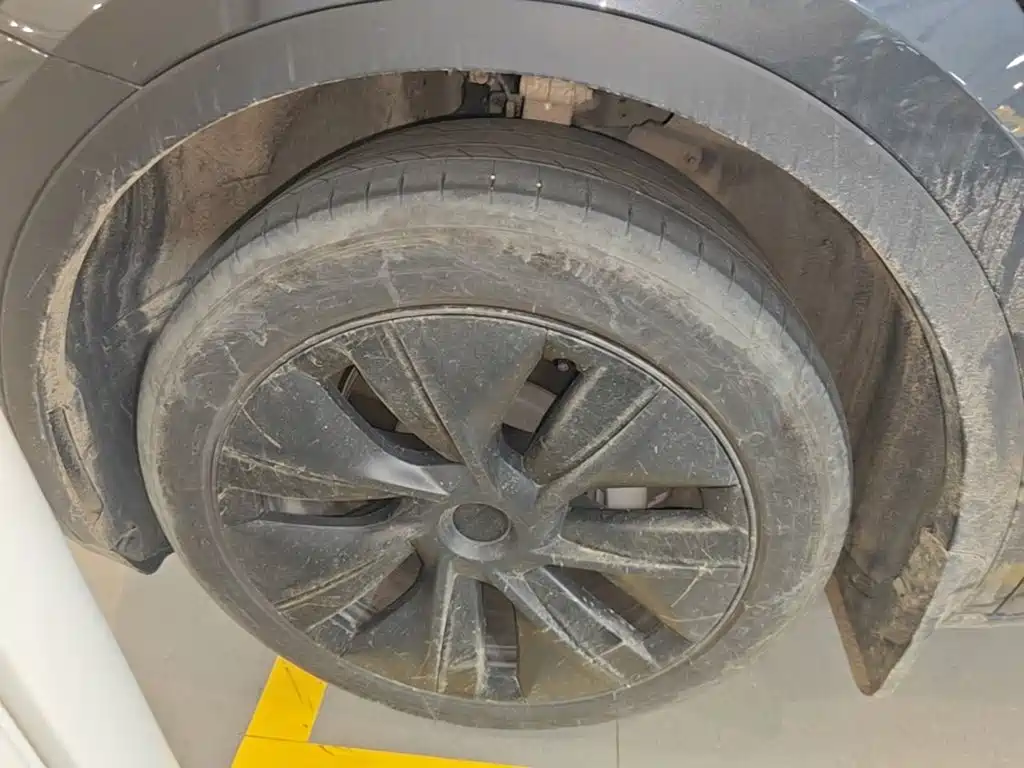 Tesla Model Y — миниатюра 23
