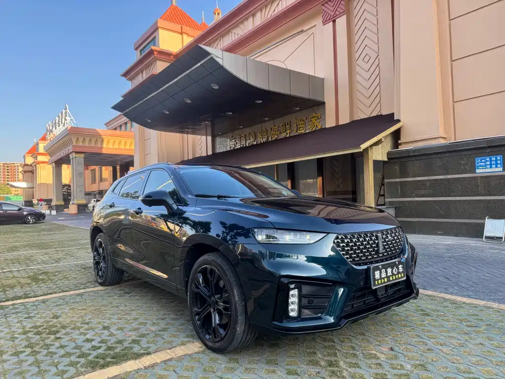 WEI PAI WEI BRAND VV7