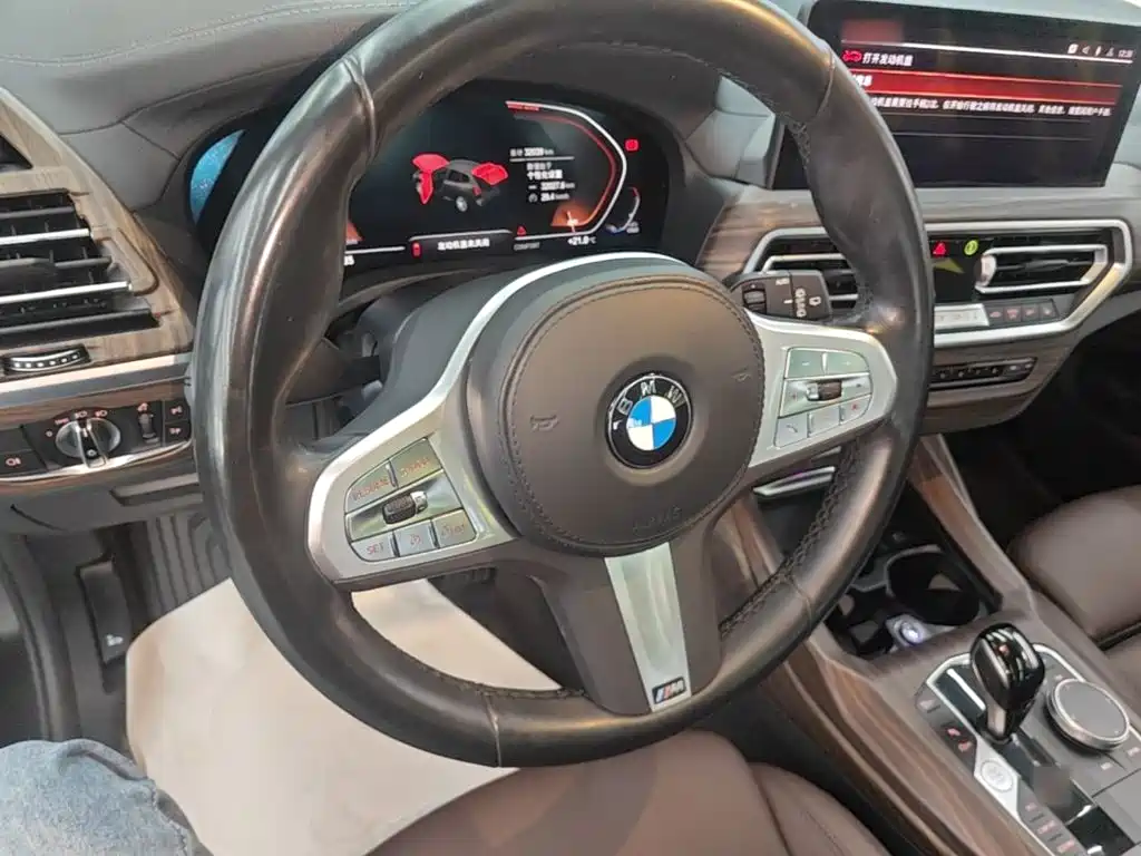 BMW X3 — миниатюра 11