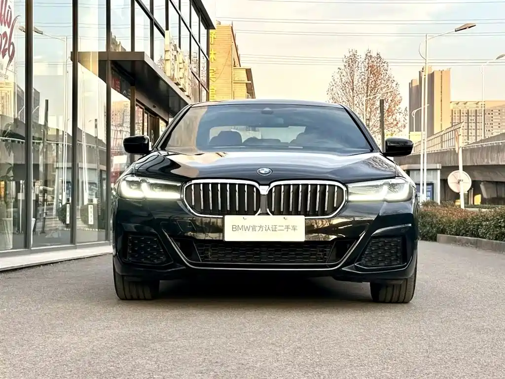 BMW 5 SERIES