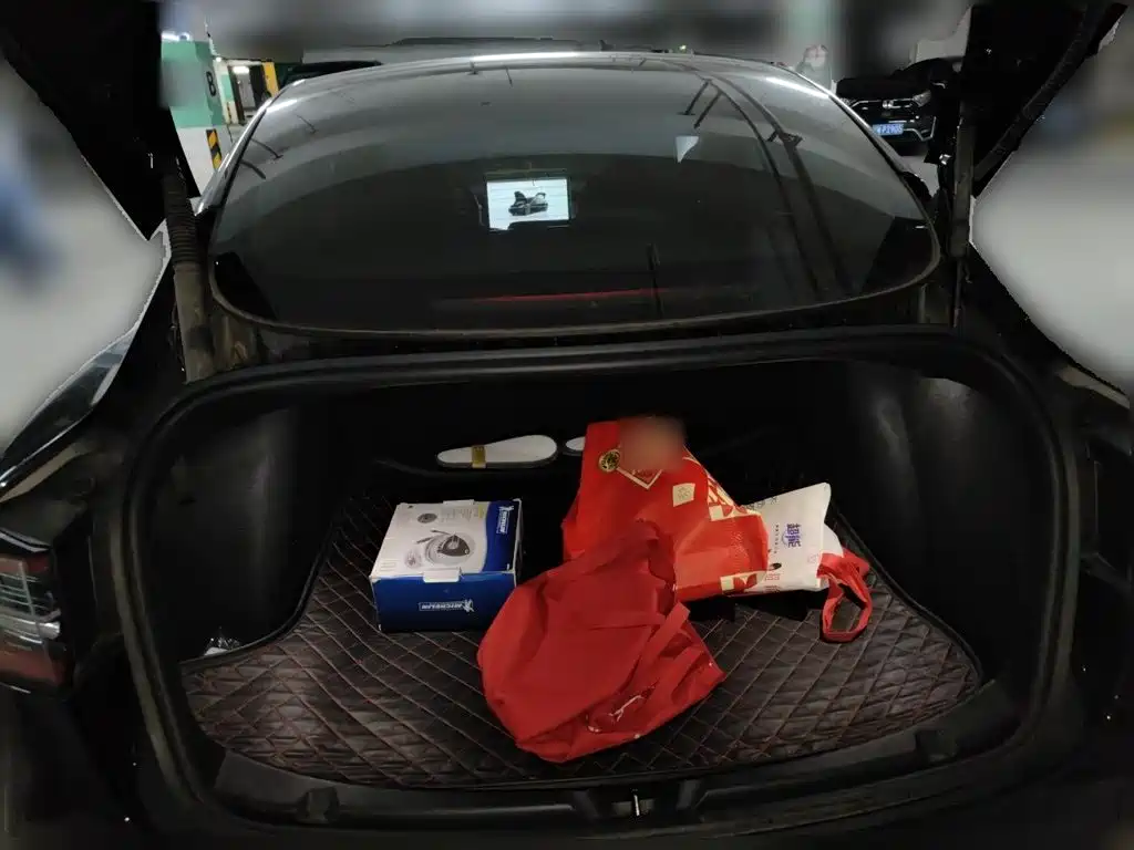 Tesla Model 3 — миниатюра 15