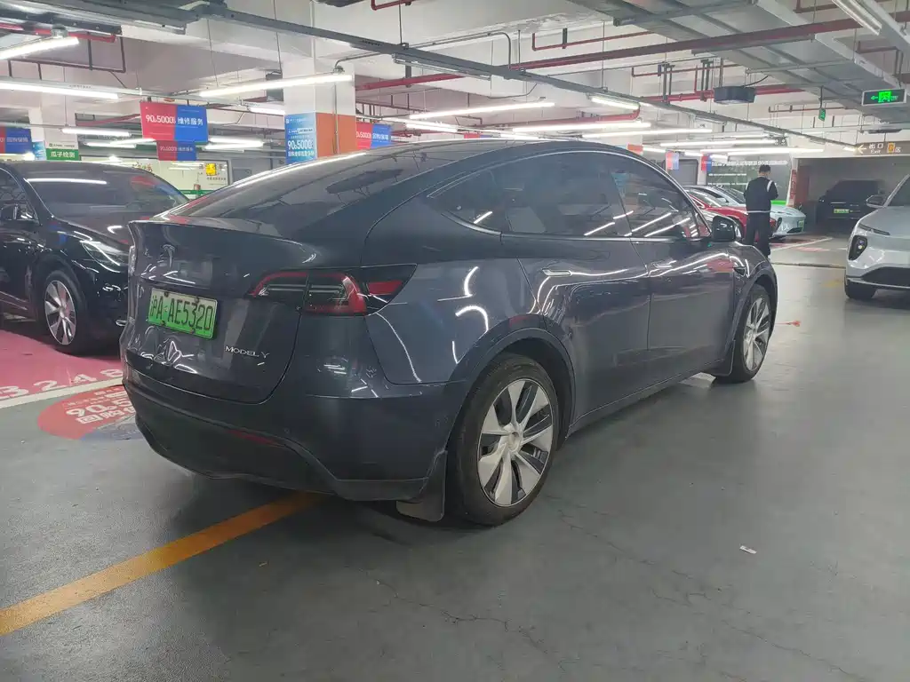 Tesla Model Y — миниатюра 7