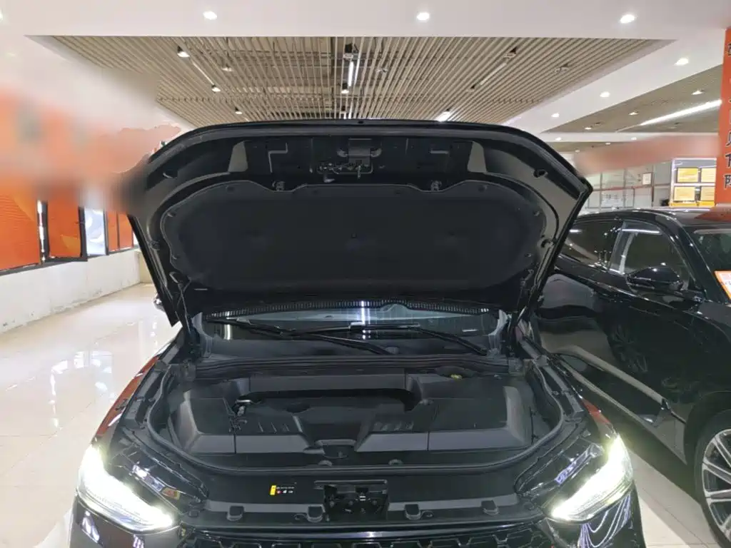 Wey Wey VV6 — миниатюра 20
