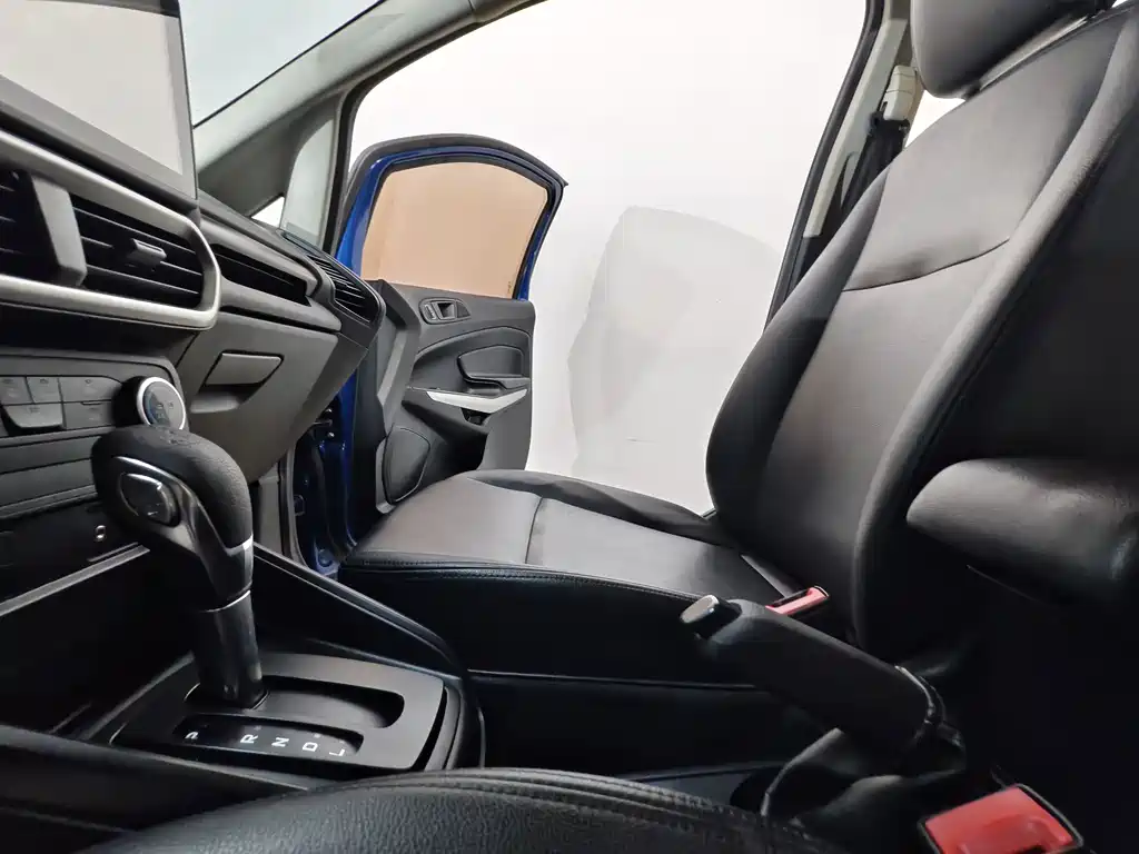 Ford Ecosport — миниатюра 11