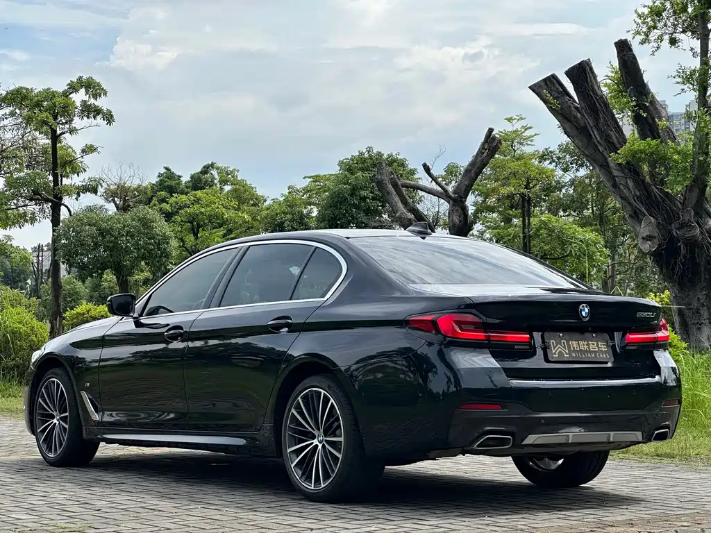 BMW 5 Series — миниатюра 4