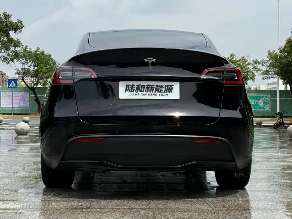 Tesla Model Y — миниатюра 7