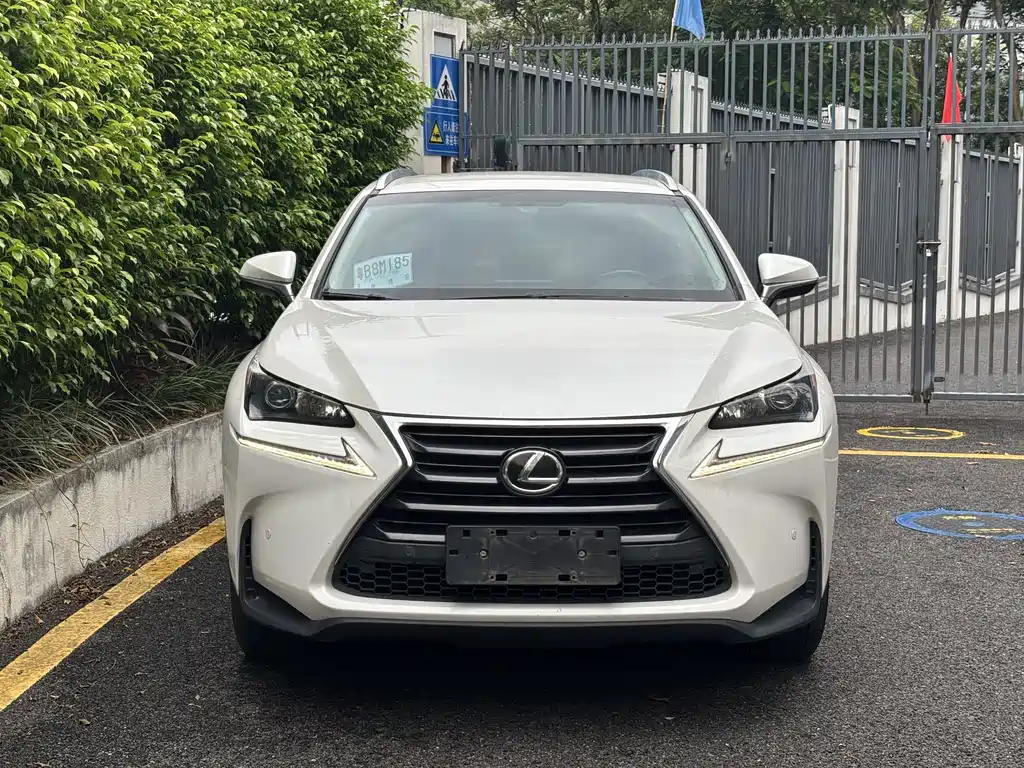 Lexus NX — миниатюра 2