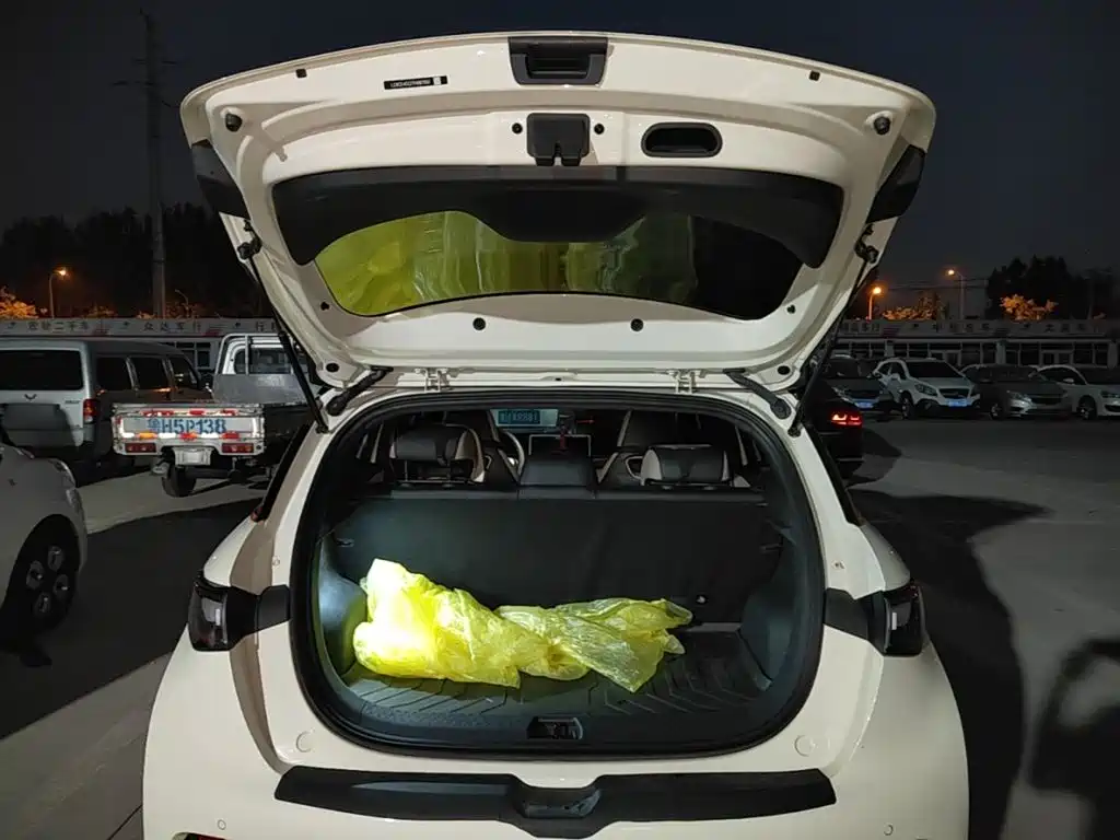 BYD Dolphin — миниатюра 19