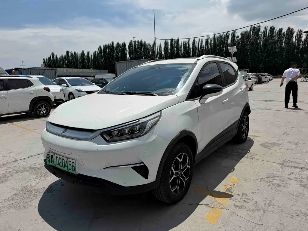 BYD Yuan Pro Pro 2021 401KM Luxury