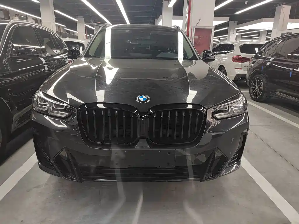 BMW X3 — миниатюра 2