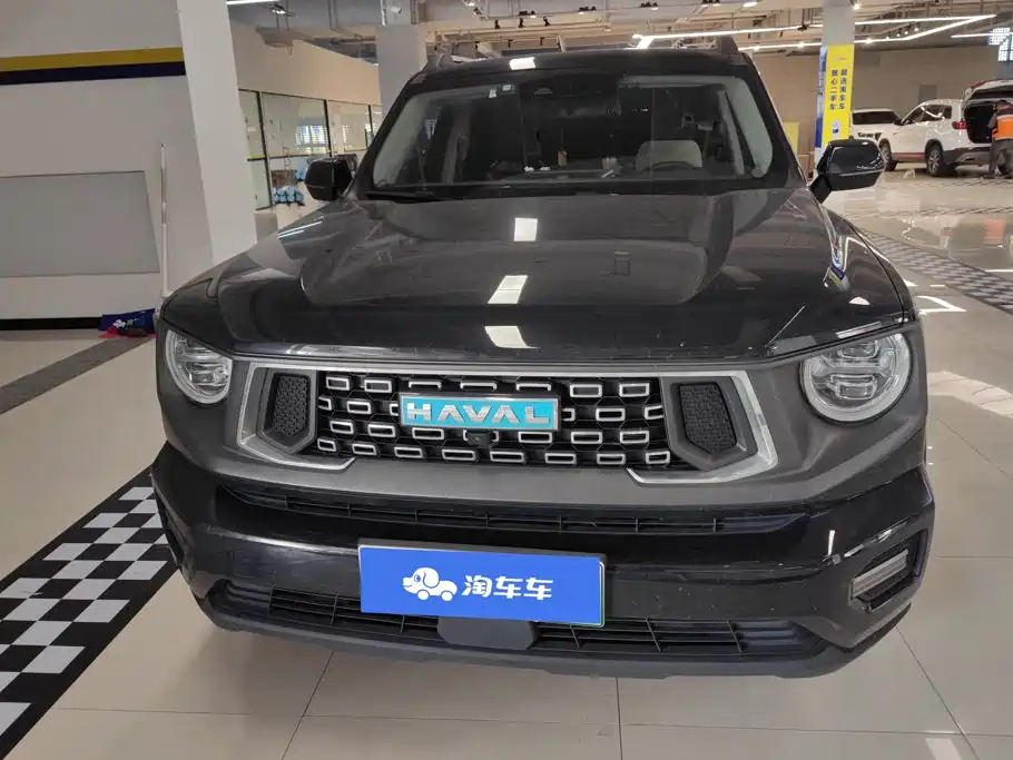 Haval Big Dog PLUS New Energy — миниатюра 2