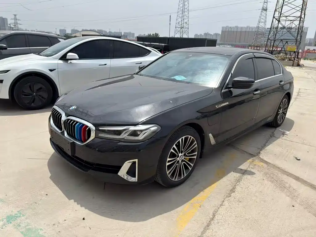 BMW 5 Series New Energy 2021