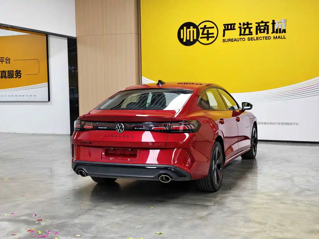Volkswagen Lamando — миниатюра 5