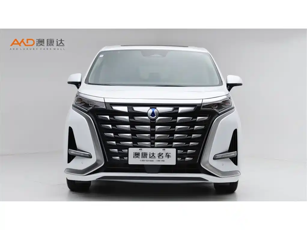 Denza Denza D9 — миниатюра 2