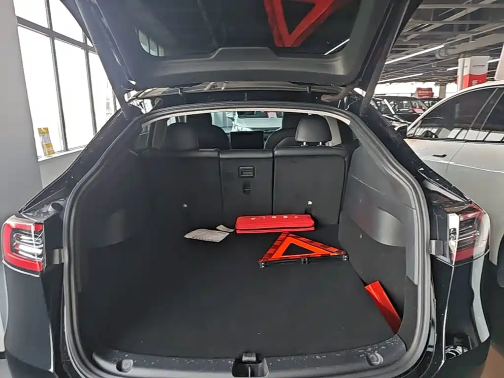 Tesla Model Y — миниатюра 19